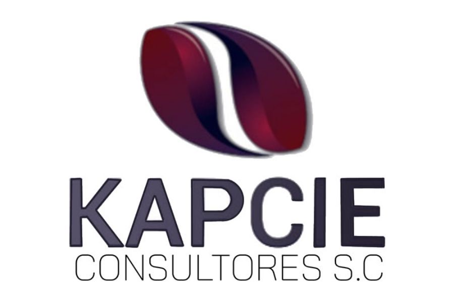 Kapcie Cosultores